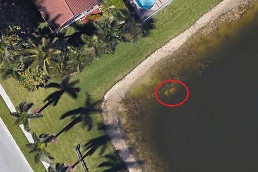 Zaginął ponad 20 lat temu. Zdjęcie zatopionego auta z ciałem William Moldt znaleziono w Google Earth polecane, ciekawostki zdjęcie samochodu w zbiorniku wodnym, zdjęcie samochodu w Google Maps, William Moldt, Google Earth  Ciało zaginionego ponad 20 lat temu Amerykanina znaleziono dzięki zdjęciom satelitarnym Google Earth. 40-letni mieszkaniec Palm Beach (Floryda) William Moldt zaginął 7 listopada 1997 r. william moldt 525x350