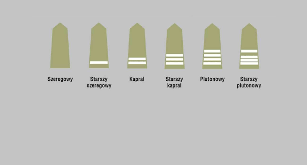 Wojsko 1 - Stopnie Wojskowe w Wojsku Polskim - dziś za darmo