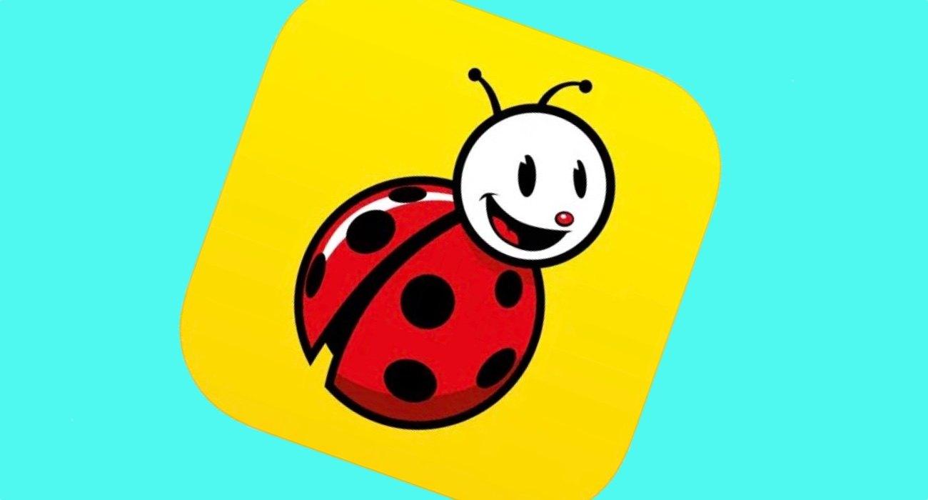 biedronka 2|biedronka 1