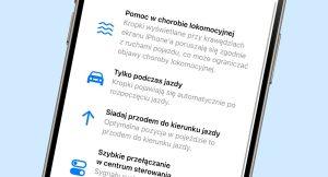 choroba lokomocyjna 1 300x162 - Allegro zmienia regulamin: Uniknij blokady konta!