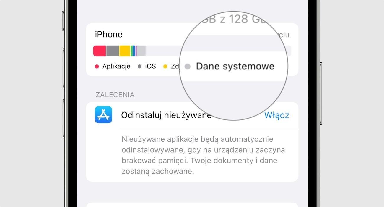 danesystemowe
