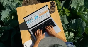 macbook pro 1 300x162 - Apple przedstawiło wyniki finansowe za czwarty kwartał 2024