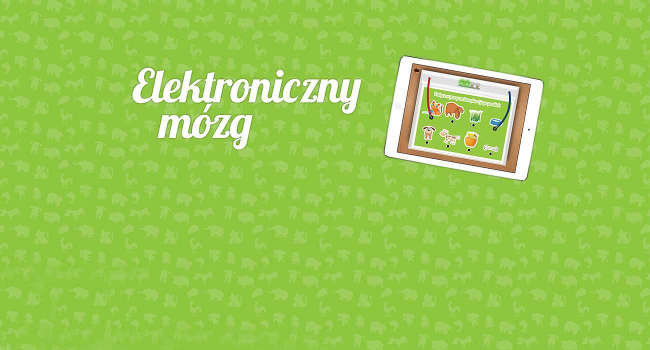 mozg 1 2 - Elektroniczny mózg - edukacyjna gra dla dzieci