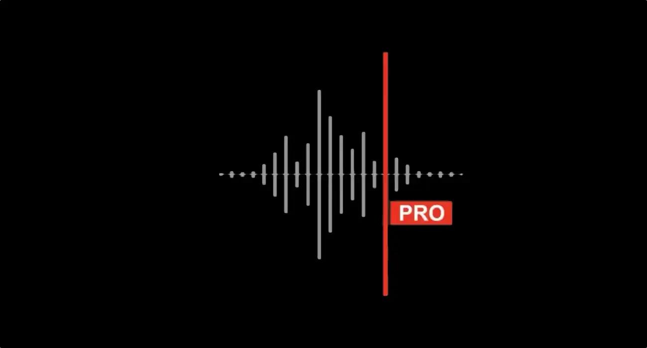pro|dyktafon2|dyktafon