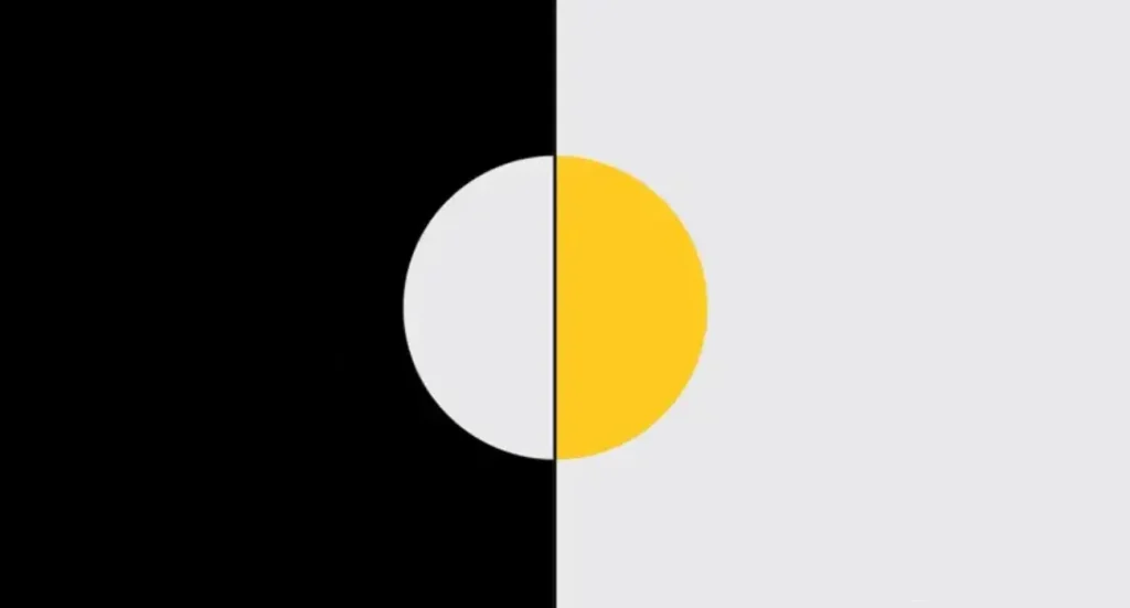 safari|safari noc