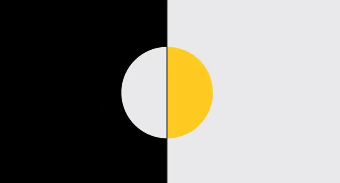 safari|safari noc