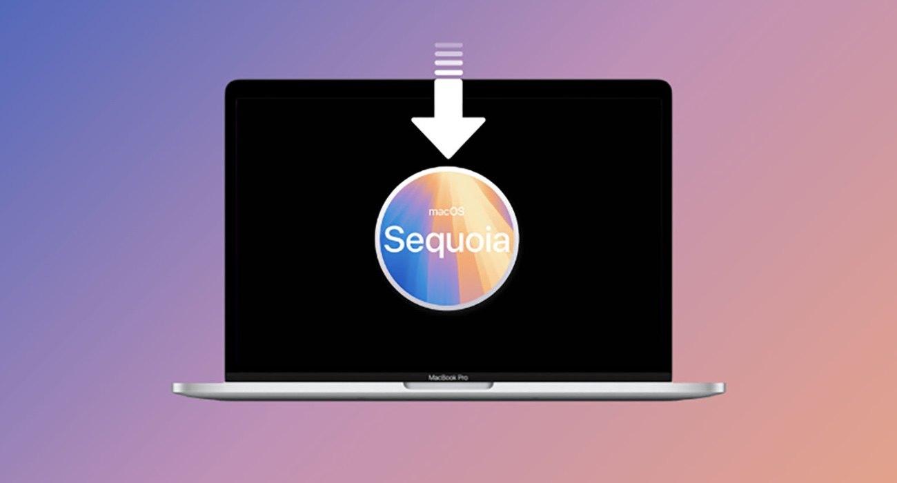 sequoia 1|sequoa 1|sequoia 1